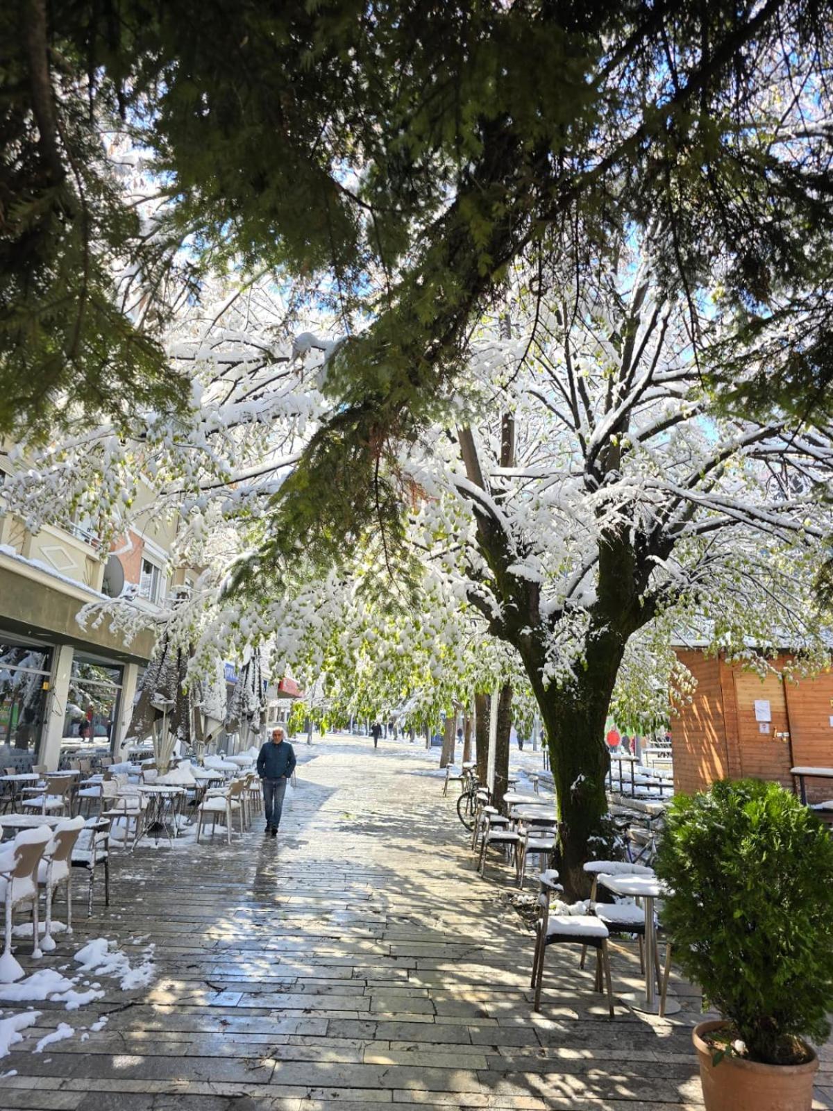 Vila Sonnet Κορυτσά Εξωτερικό φωτογραφία