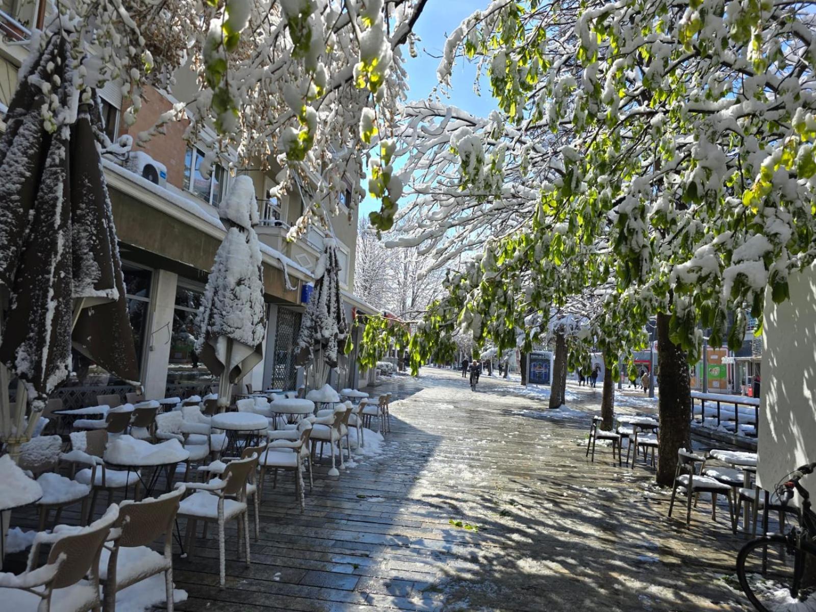 Vila Sonnet Κορυτσά Εξωτερικό φωτογραφία